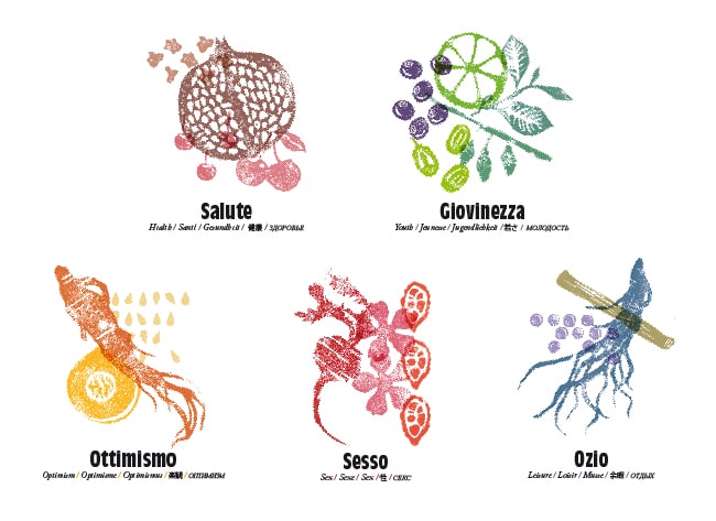 cioccolato biologico funzionale1