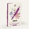 cioccolato crudo bio antirughe