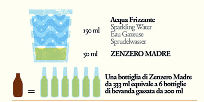 zenzero madre 333ml istruzioni