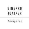 bacche di ginepro