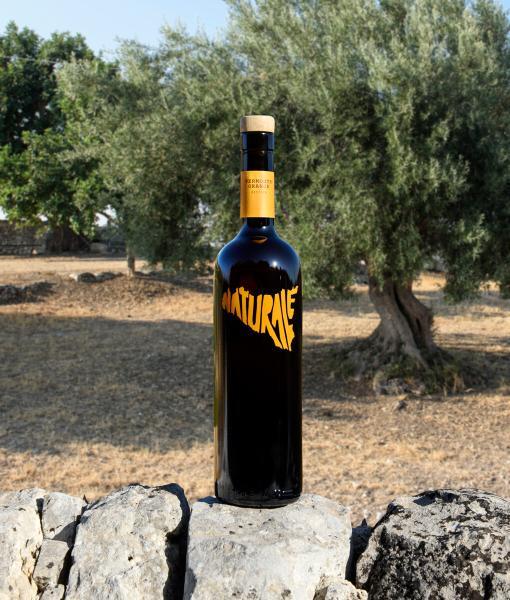 vermouth naturale biologico