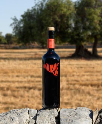 vermouth rosso biologico